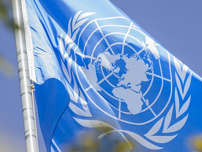 ООН приняла резолюцию по борьбе с коронавирусом, отклонив российский вариант 