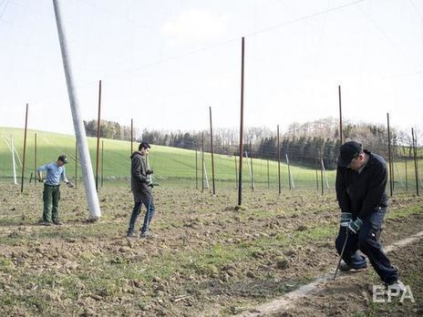 Фінляндія планує чартерами доправляти у країну сезонних працівників з України