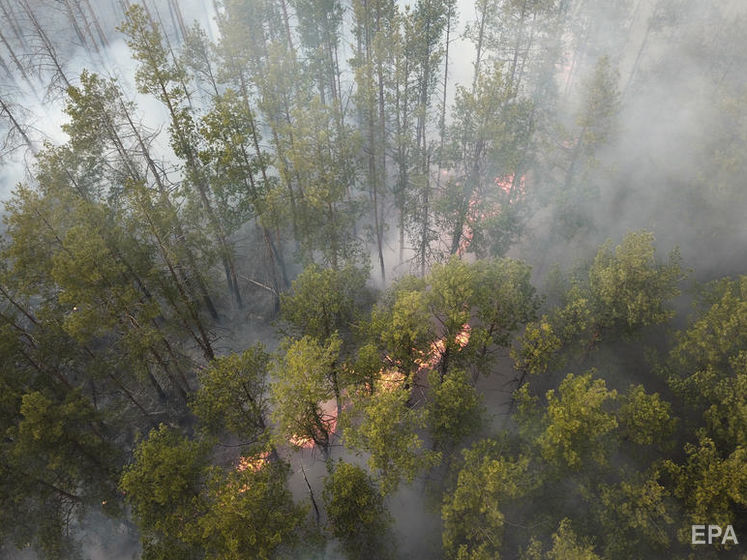 ﻿У Чорнобилі шосту добу горить ліс. ДСНС залучила до гасіння пожежі додаткові сили