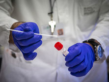 Число инфицированных коронавирусом в мире превысило 1,5 млн человек