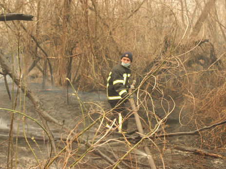 В Чернобыльской зоне седьмой день горит лес