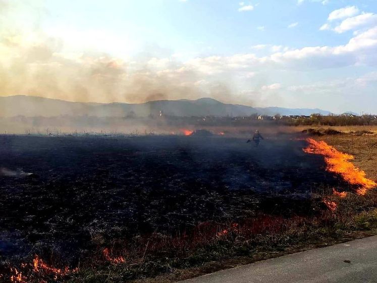 ﻿На Закарпатті місцевий житель, спалюючи суху траву, знищив 9 га "Долини нарцисів"
