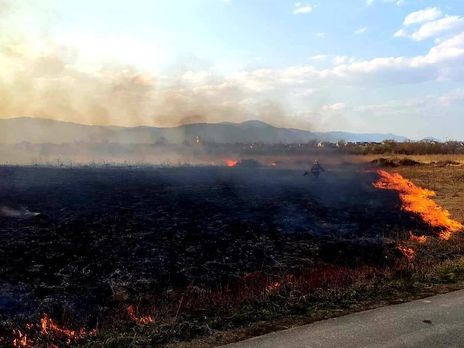 ﻿На Закарпатті місцевий житель, спалюючи суху траву, знищив 9 га 