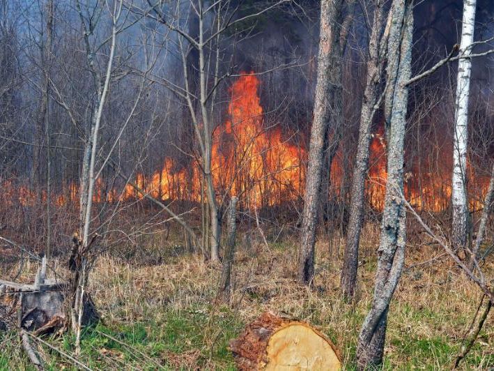 ﻿Пожежа в Чорнобилі триває більше ніж тиждень. Пожежна авіація здійснила понад 90 вильотів