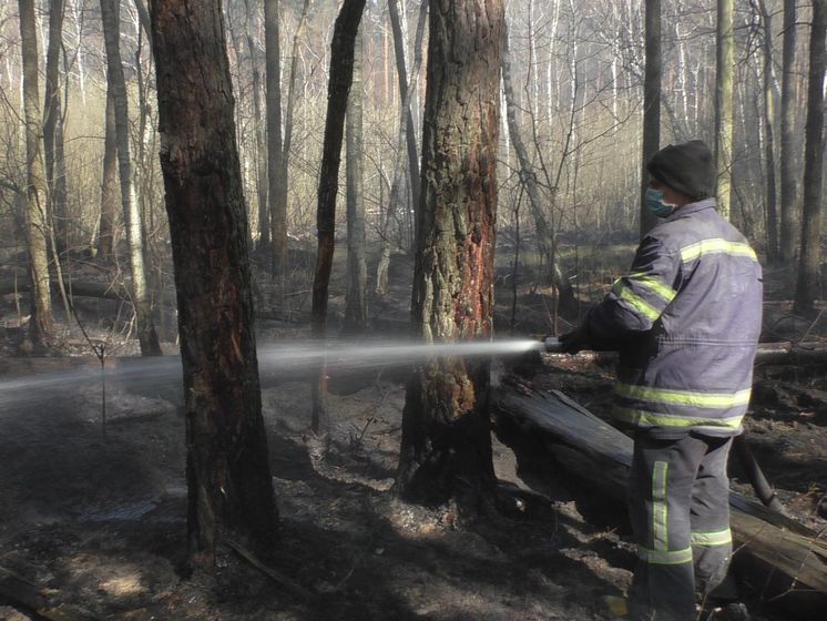 В Житомирской области горит лес, поджигатели задержаны &ndash; ГСЧС