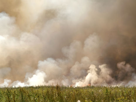 Верховная Рада ужесточила штрафы за сжигание травы