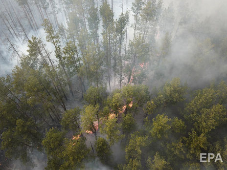 ﻿Кабмін витратить приблизно 145 млн грн на ліквідацію наслідків пожежі в Чорнобильській зоні