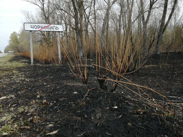 ﻿У Чорнобильській зоні й далі тліють пеньки та деревина – ДСНС