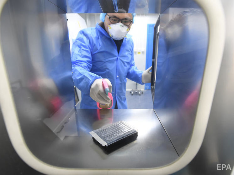 "Нулевым пациентом" с коронавирусом был сотрудник лаборатории в Ухане, он заразился от летучих мышей – СМИ