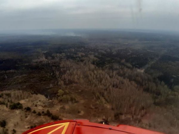﻿Кличко заявив, що пожежу в Чорнобильській зоні відчуження повністю загасили
