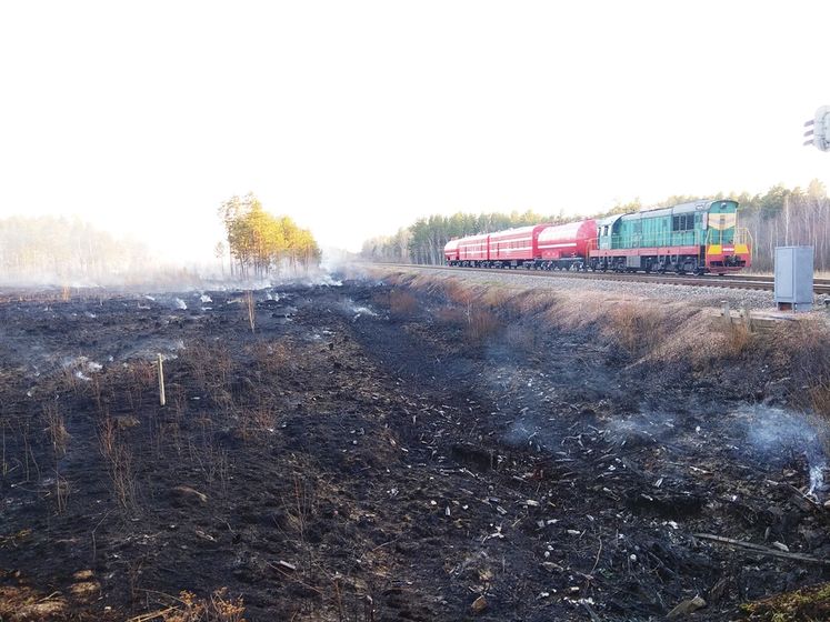 Пожар в Житомирской области. Огонь перебросился на два села