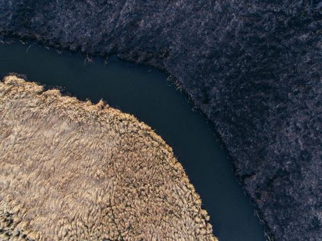 ﻿У Тернопільській області вигоріла частина орнітологічного заказника. Фоторепортаж