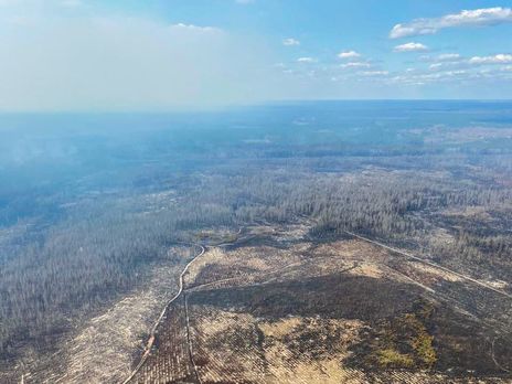 ﻿Влада назвала попередню причину пожеж у Житомирській області