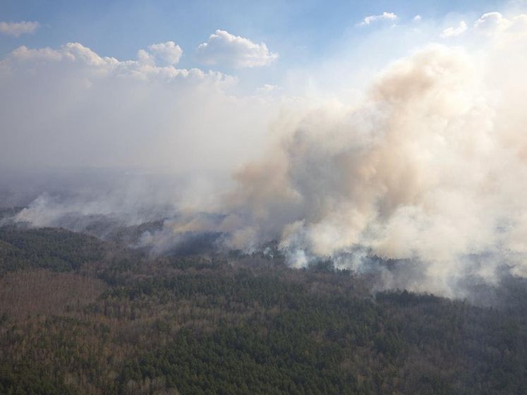 Аваков: Рассматриваются две версии возникновения пожаров в Житомирской области
