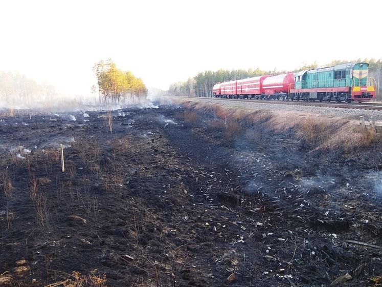 ﻿У РНБО не відкидають, що до пожеж у Житомирській області причетні власники землі