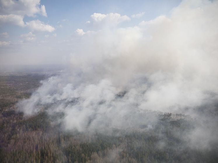 В ГСЧС объяснили, почему не удается быстро потушить пожары в Житомирской области