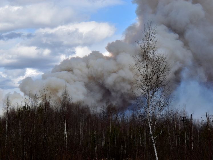 Пожары в Житомирской области – самые масштабные за 24 года – Гослесагентство