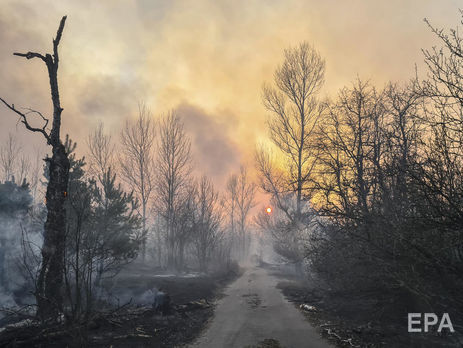 ﻿Пожежа в Чорнобильській зоні загрожує перекинутися на територію Білорусі – ДСНС