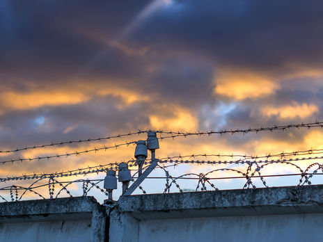 Наказание в виде ограничения свободы в Украине необходимо отменить – Малюська