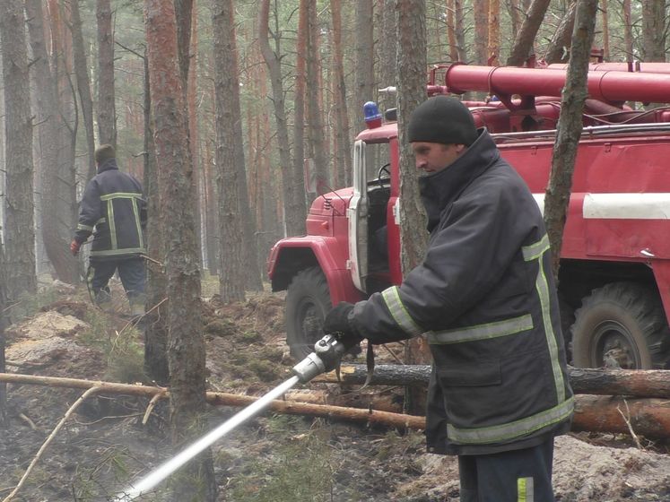 Геращенко заявил, что последние 30 лет в лесах Украины не проводилась работа по созданию противопожарных просек