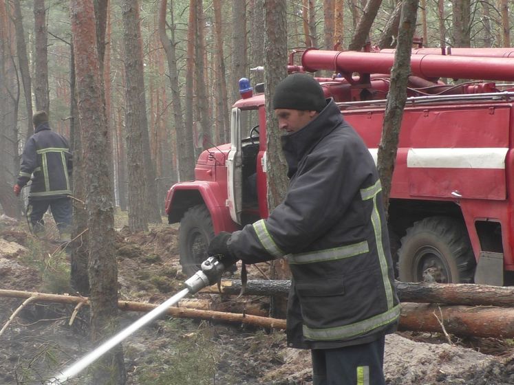 Кабмин выделил 25 млн грн на ликвидацию последствий пожаров в Житомирской области
