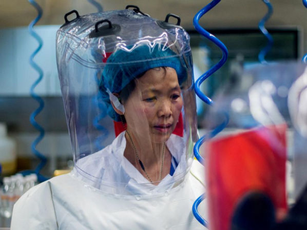 Китайская Летучая мышь, или Почему ученую Ши Чжэнли обвиняют в создании коронавируса. Главное