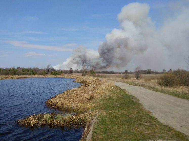 ﻿У Житомирській області виникла лісова пожежа "загрозливих масштабів"