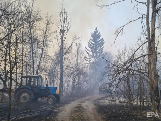 Пожар в одном из лесничеств в Чернобыльской зоне отчуждения локализован