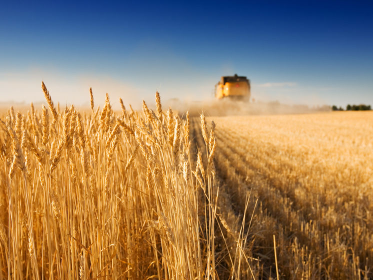 Урожай зерна в Украине из-за засухи и коронавируса сократится на 20% &ndash; Минэкономразвития