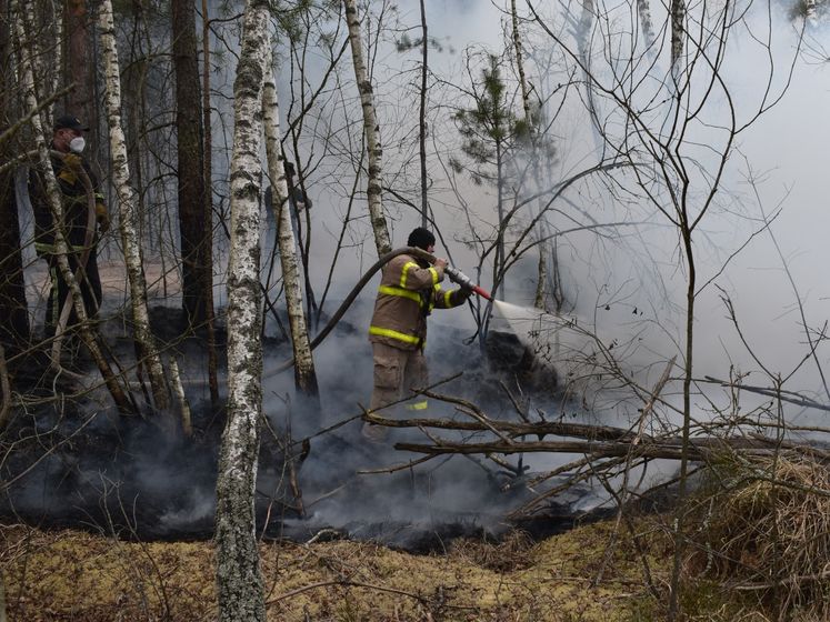 ﻿У Житомирській області спалахнула нова масштабна пожежа