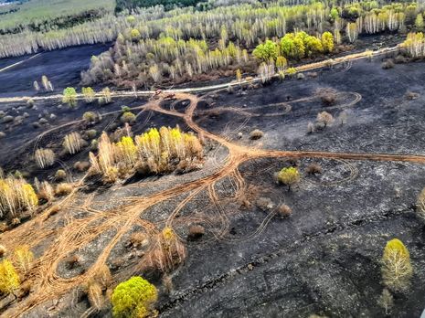 ﻿Аваков про пожежі в Чорнобильській зоні: Всі осередки вогню ліквідовано