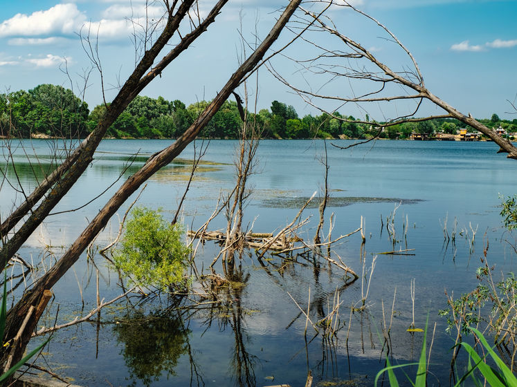 ﻿Еколог: За 30 років в Україні зникло або перетворилося на болота приблизно 10 тис. річок. Нам доведеться купувати воду за кордоном