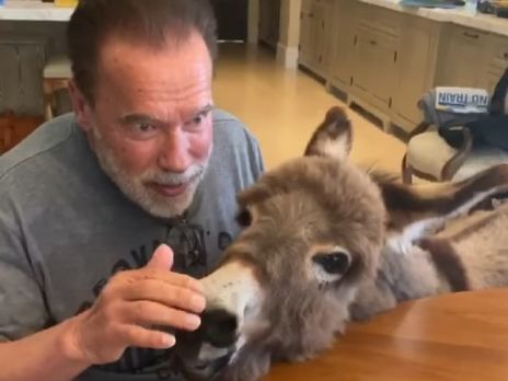 ﻿Шварценеггер заспівав для ослиці Happy Birthday to You