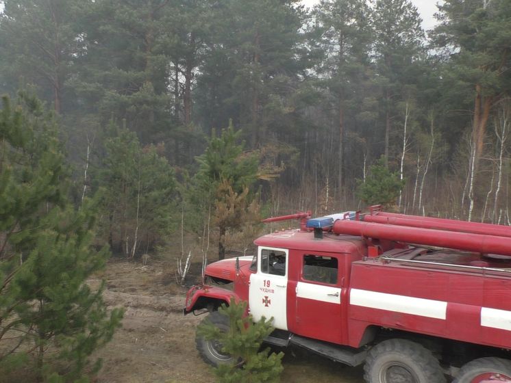 В Житомирской области возникли новые очаги возгорания – ГСЧС