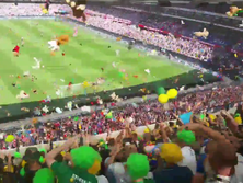 В Голландии футбольные фанаты во время матча забросали пациентов детской больницы плюшевыми игрушками. Видео