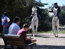 В Италии смягчили карантин. Несколько миллионов человек вернулись на работу, на вокзалах – очереди. Фоторепортаж