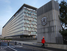 ВОЗ назвала спекулятивным заявление Помпео об утечке коронавируса из Уханьского института