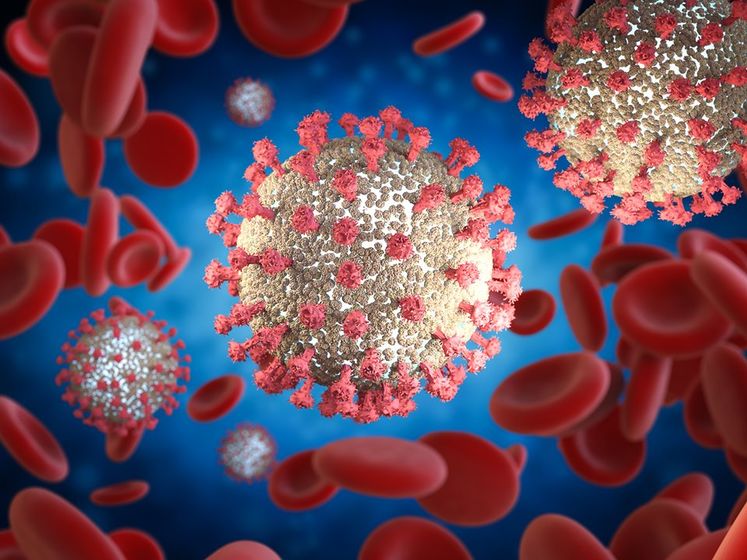 Учені створили найдеталізованішу 3D-модель коронавірусу. Відео