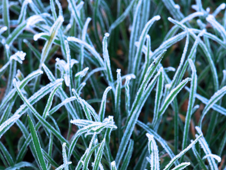 ﻿ДСНС попередила про заморозки в Україні