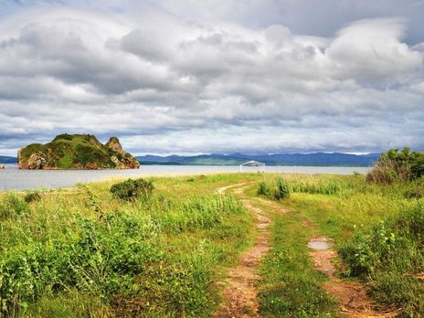 В России отец увел трех детей в лес, чтобы спрятаться от коронавируса