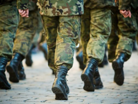 В аннексированном Крыму сформирована дивизия для борьбы с 