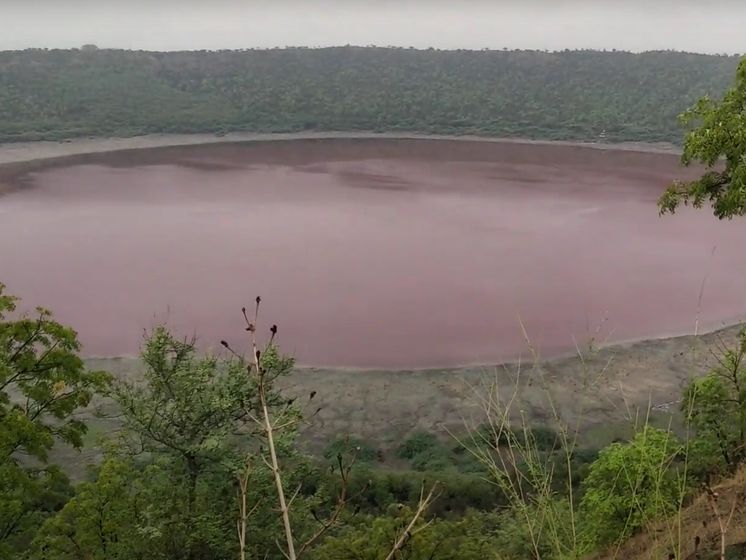 В Индии внезапно порозовело озеро, которому 50 тыс. лет. Видео