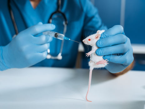 В России разрабатывается 10 вакцин от коронавируса, их испытания резко ускорили – The Wall Street Journal