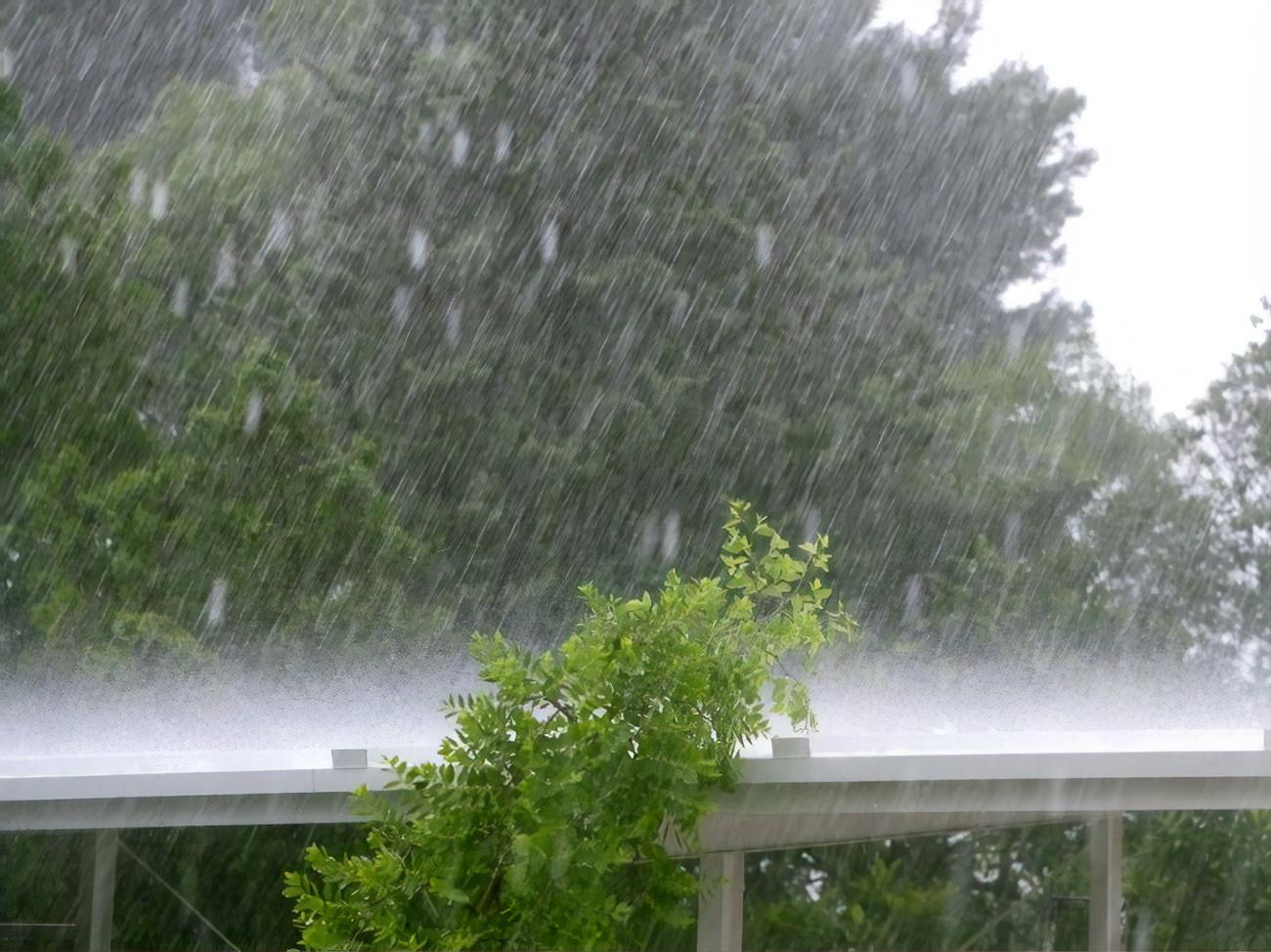 Сильный ветер с водой. Сильный дождь. Сильный дождь ливень. Гроза и дождь. Сильный ветер и дождь.