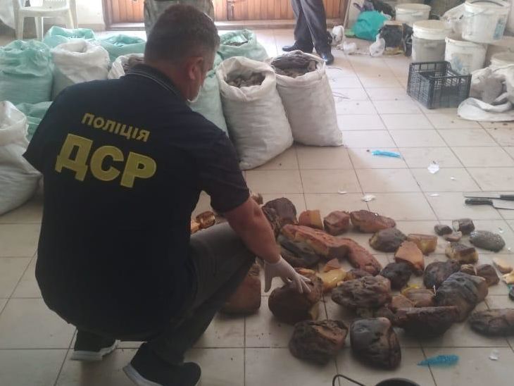 В Ровенской области полицейские изъяли почти тонну янтаря. Его оценивают в $1,2 млн