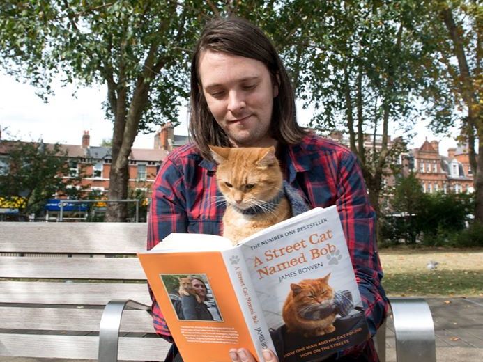 В Британии умер уличный кот Боб, ставший героем бестселлера