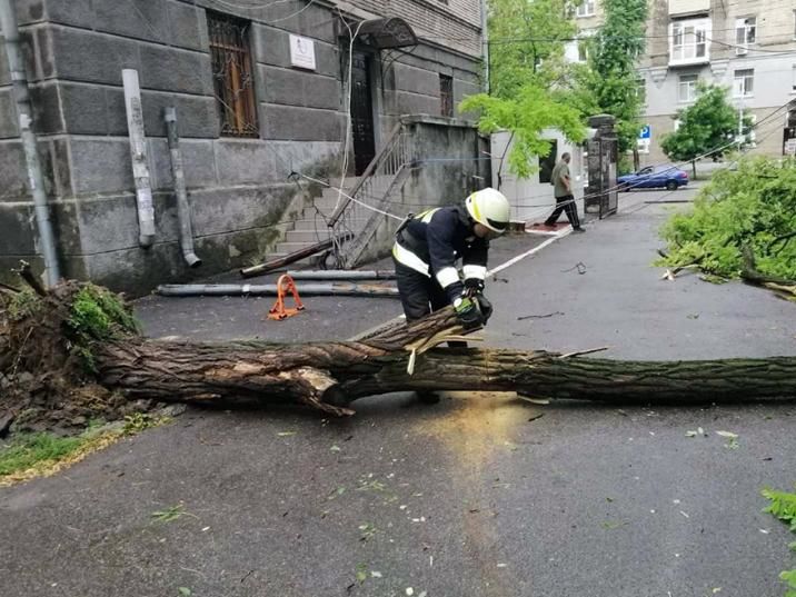 ﻿У Кам'янському внаслідок падіння дерев постраждало четверо людей – ДСНС