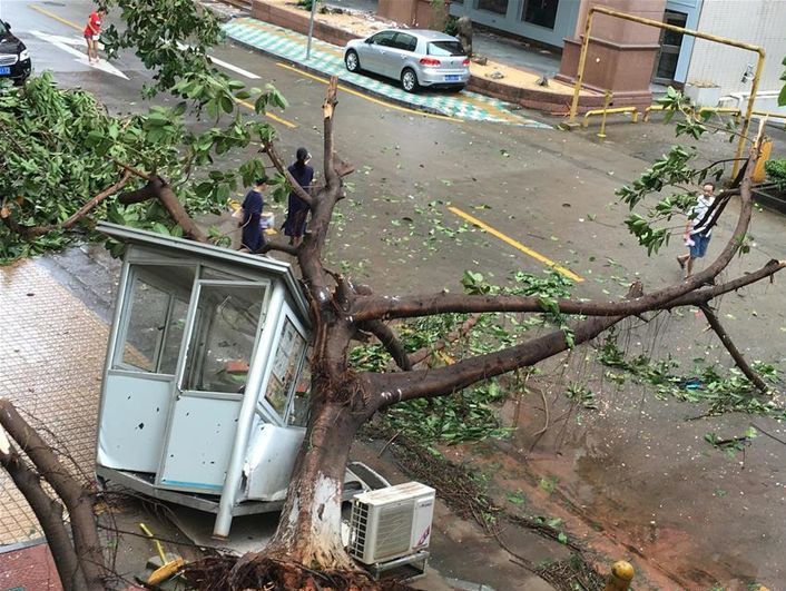 Жертвами мощного тайфуна "Меранти" стали 15 жителей Китая и Тайваня
