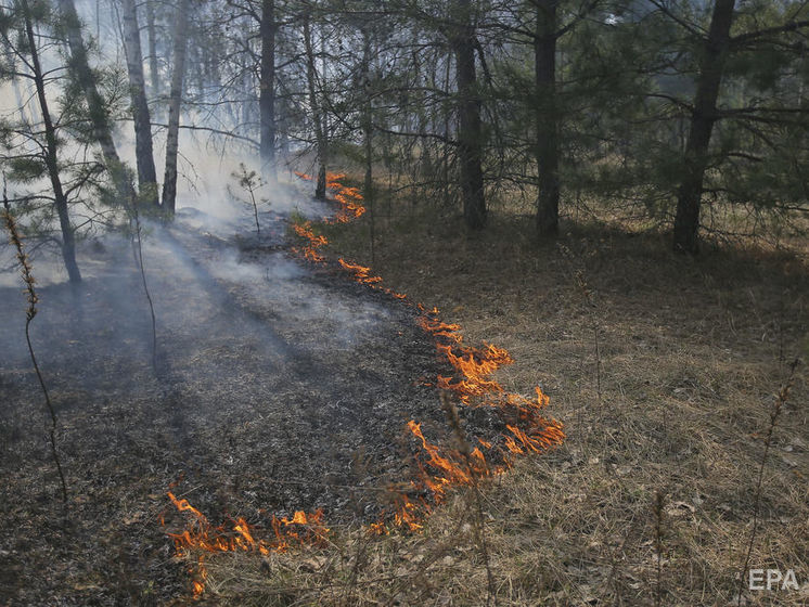 ﻿У Чорнобильській зоні спалахнула нова пожежа