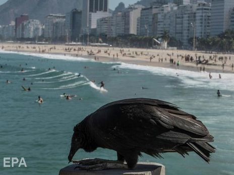 Новый антирекорд в Бразилии. Число жертв COVID-19 превысило 50 тыс.